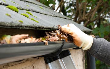 gutter cleaning North Nevay, Angus