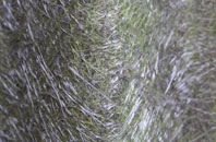 North Nevay fibreglass roof work